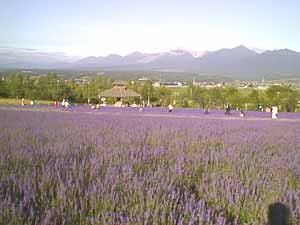 ���x���_�[