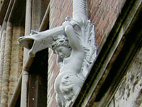 �������p�ق̔r����